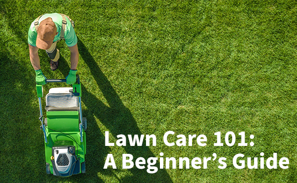 Lawn Care 101- a Beginner's Guide Lawn Care 101- a Beginner's Guide